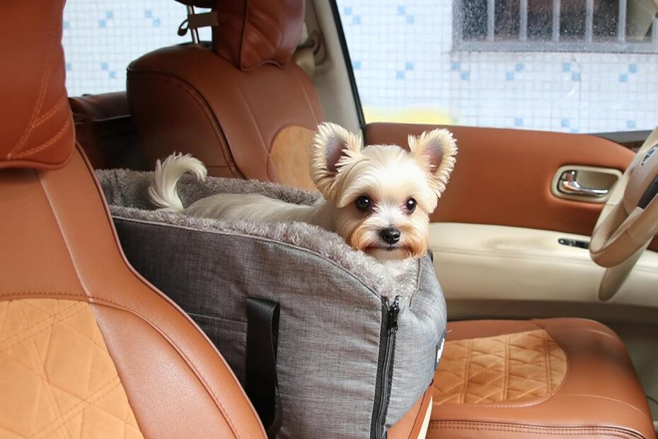 Travel in Comfort: The Ultimate Car Seat Booster for Small Pets!