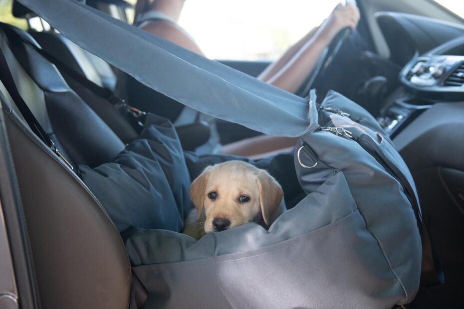 Travel in Comfort: The Ultimate Dog Car Booster Seat with Sun Shade