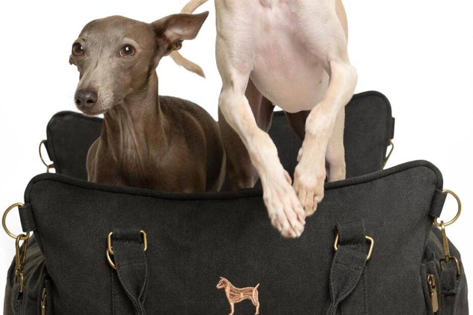 Travel in Comfort: The Ultimate Noah & Paw Dog Car Seat Carrier Review