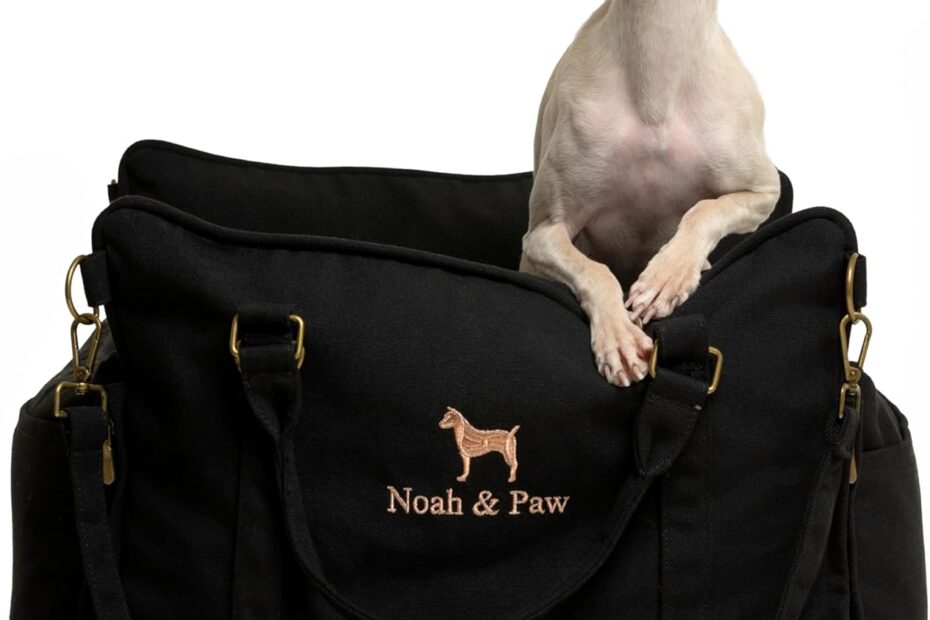 Travel in Comfort: The Ultimate Review of Noah & Paw Dog Car Seat Carrier