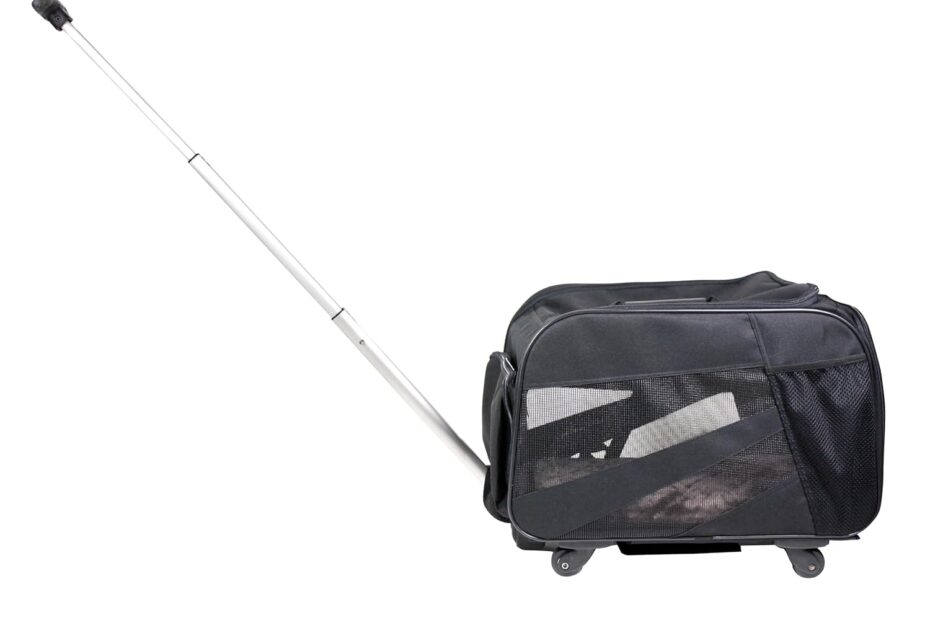 Travel in Style: Review of the dbest Smart Cart Pet Carrier