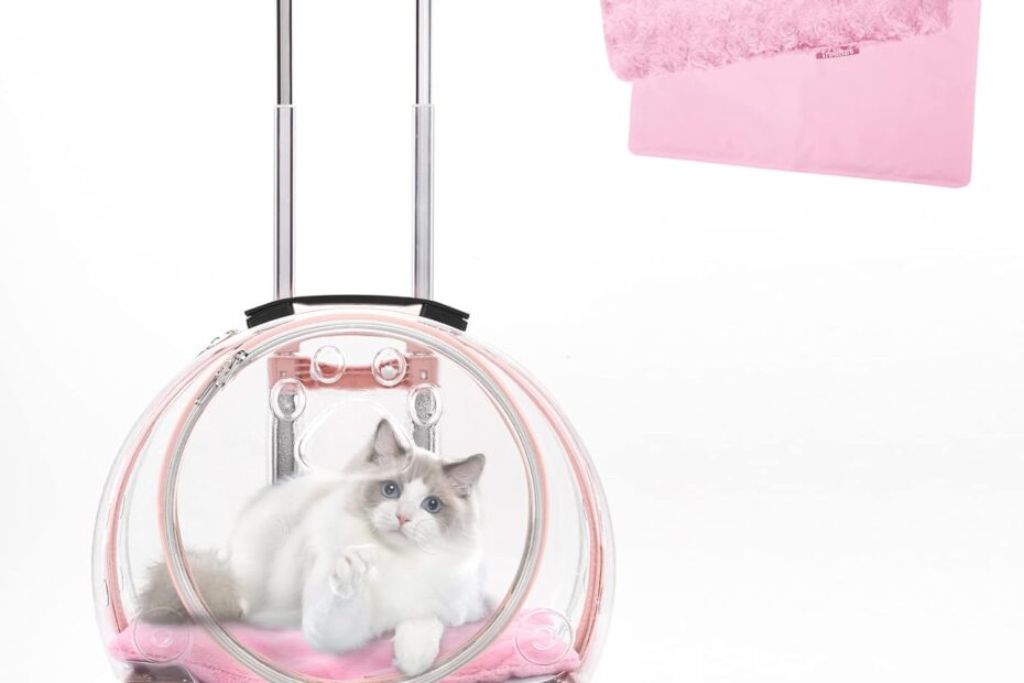 Travel in Style: The Ultimate Transparent Cat Carrier Review