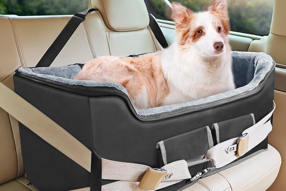 Travel Safe: The INFANZIA Dog Car Booster Seat Review