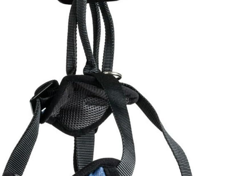 Travel Safely: A Review of the PetSafe Happy Ride Dog Safety Harness