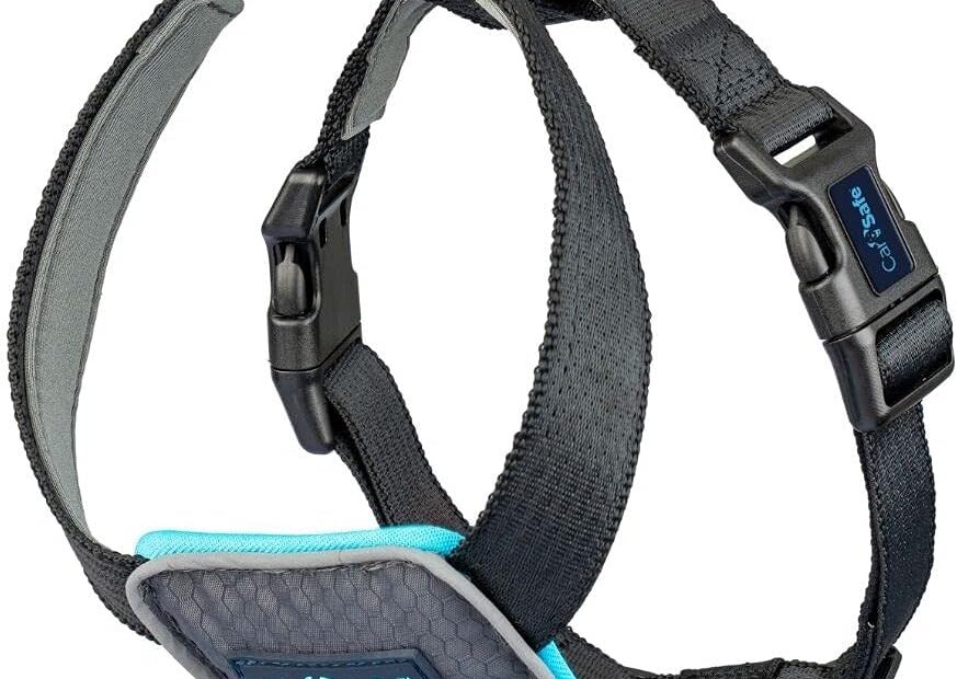 Travel Safely: CarSafe Dog Travel Harness Review