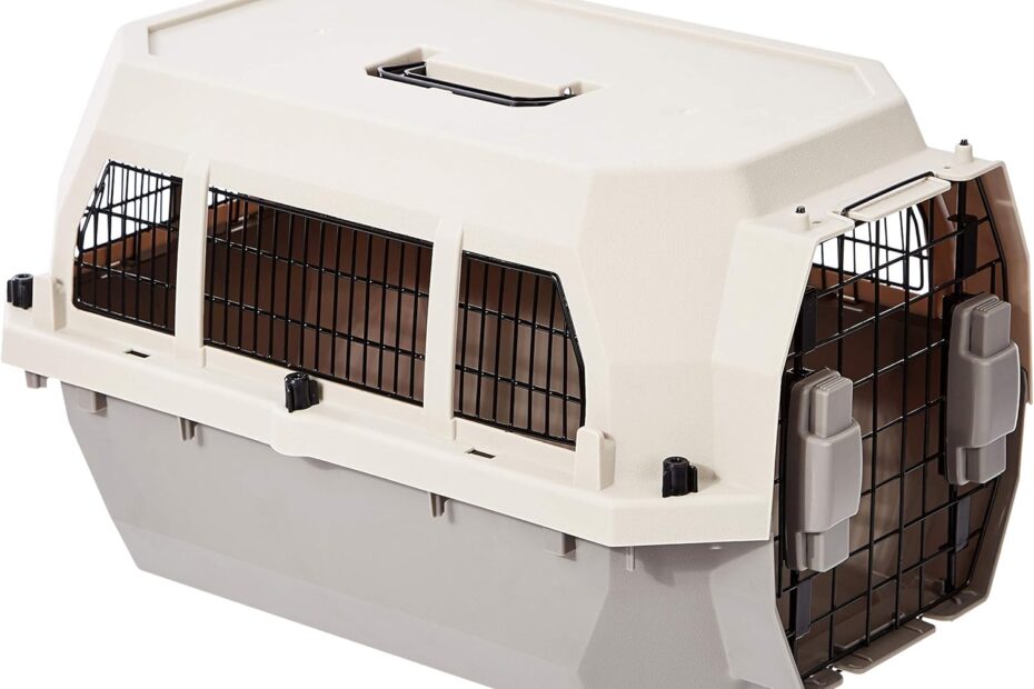 Travel Smart: Amazon Basics Hard-Sided Pet Carrier Review