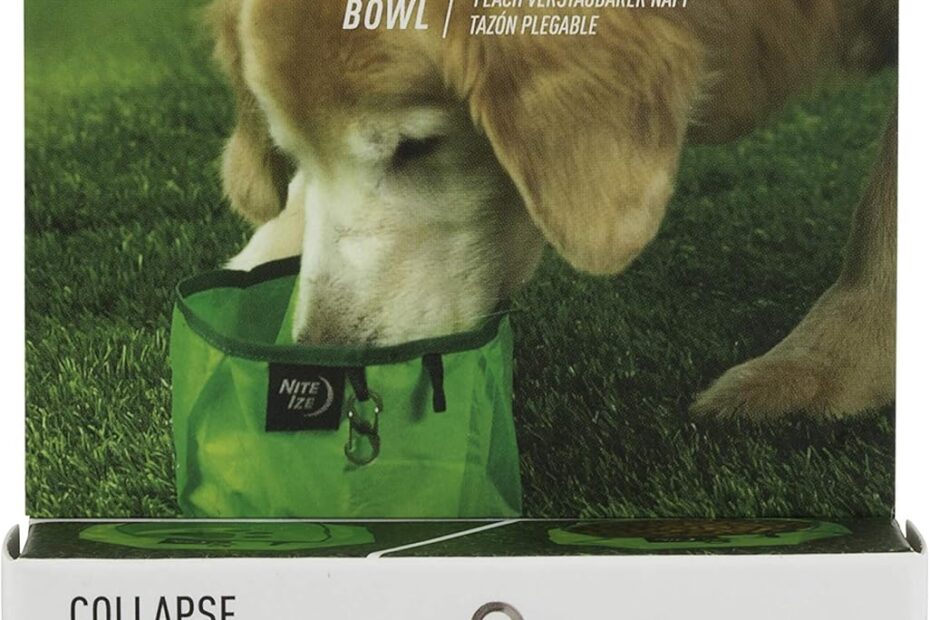 Travel Smart: Nite IZE RadDog Collapsible Dog Bowl Review!