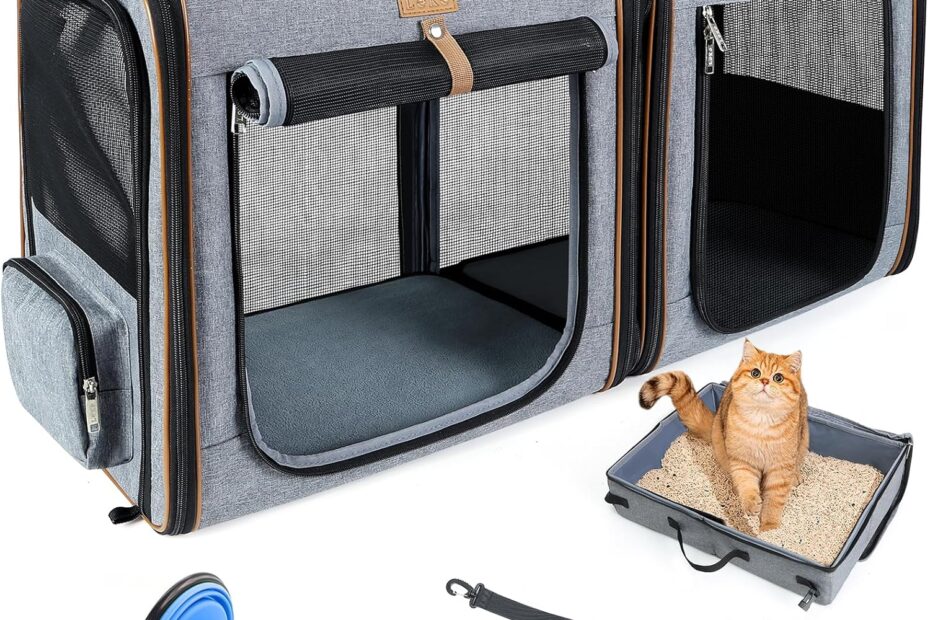 Travel Smart: The Ultimate Review of the Lekereise 2-in-1 Cat Travel Carrier