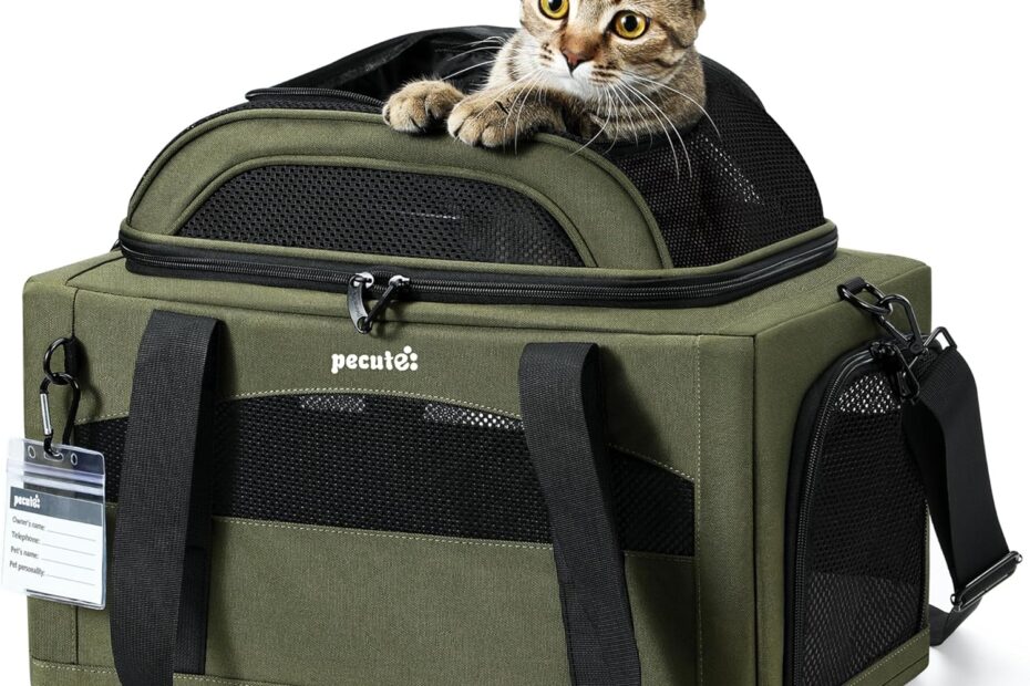 Travel with Ease: The Pecute Expandable Pet Carrier Review