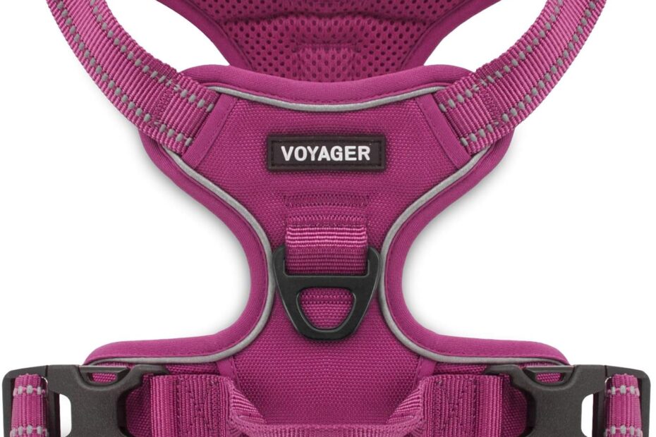 Ultimate Comfort and Control: Review of the Voyager No Pull Dog Harness for Medium and Large Dogs