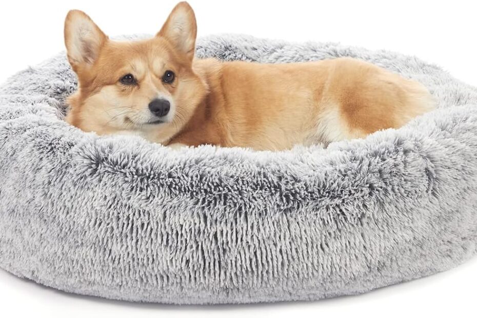 Ultimate Comfort: Bedfolks Calming Donut Dog Bed Review