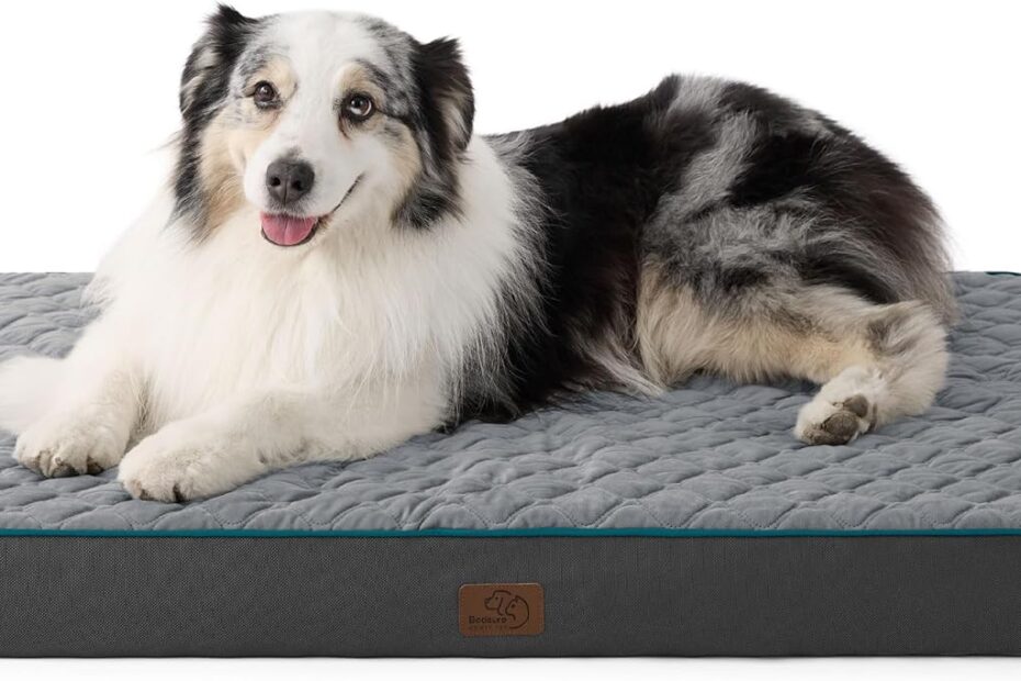 Ultimate Comfort: Bedsure Orthopedic Dog Bed Review for Large Pups!