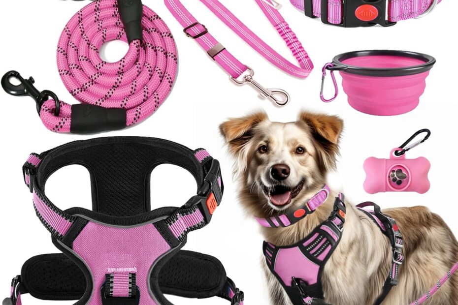 Ultimate Comfort & Control: The No Pull Dog Harness Set for Every Adventure!
