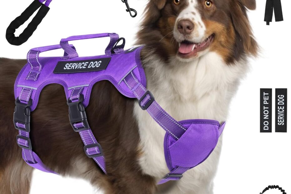 Ultimate Comfort: Escape Proof Dog Harness Review for Large Breeds