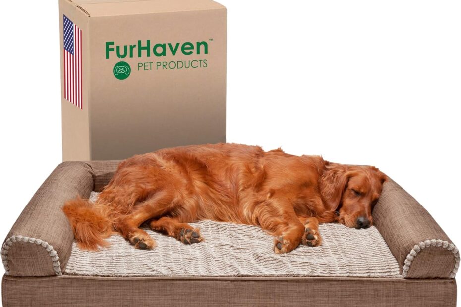 Ultimate Comfort for Your Canine: Furhaven Memory Foam Dog Bed Review