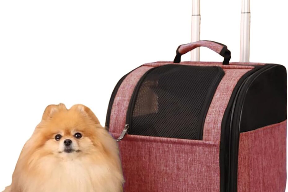 Ultimate Comfort: HSC PET Dog Stroller - Perfect Travel Companion for Your Furry Friends!