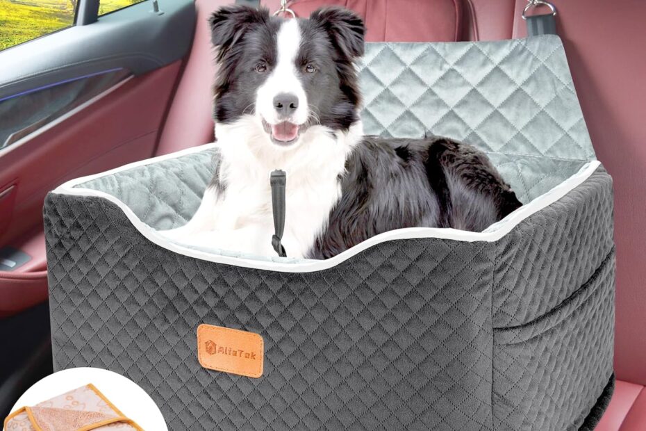 Ultimate Comfort on the Go: Memory Foam Booster Dog Car Seat Review