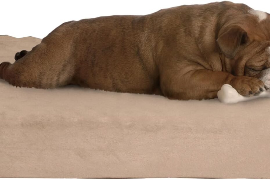 Ultimate Comfort: PETMAKER's 2-Layer Orthopedic Memory Foam Dog Bed Review