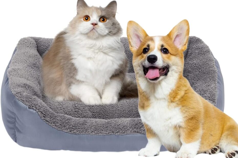 Ultimate Comfort: Review of the Barelove Square Dog Bed Mattress