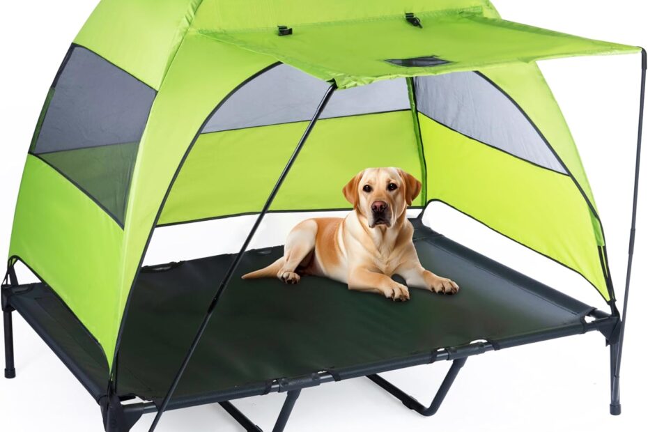 Ultimate Comfort: Review of the Elevated Dog Bed with Canopy & Awning