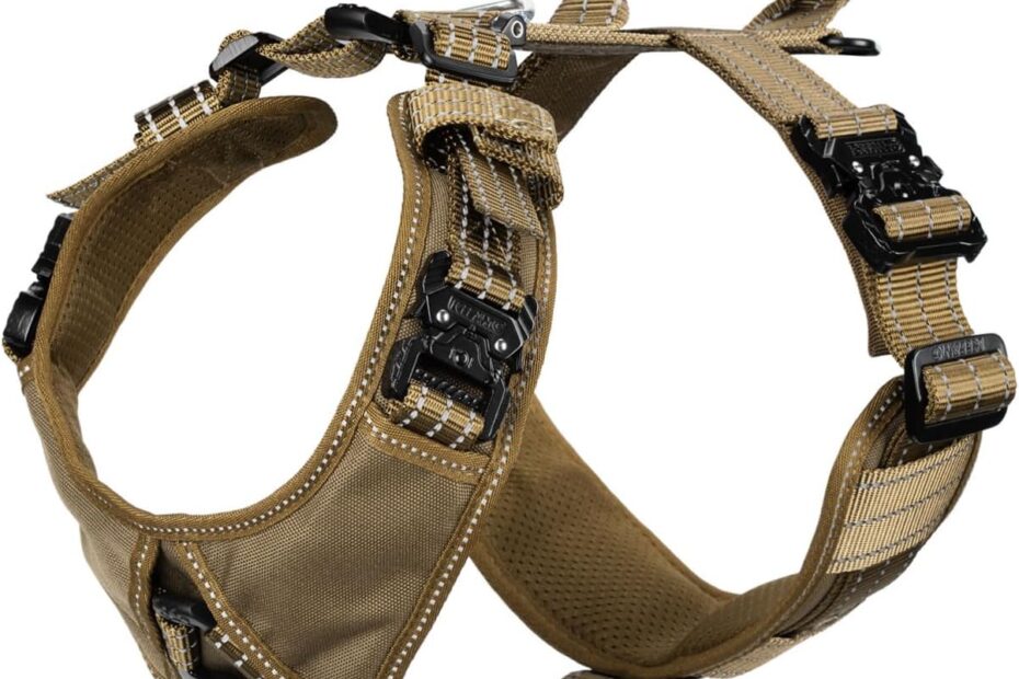 Ultimate Comfort: Review of the ICEFANG No-Pull Dog Harness for Large Breeds