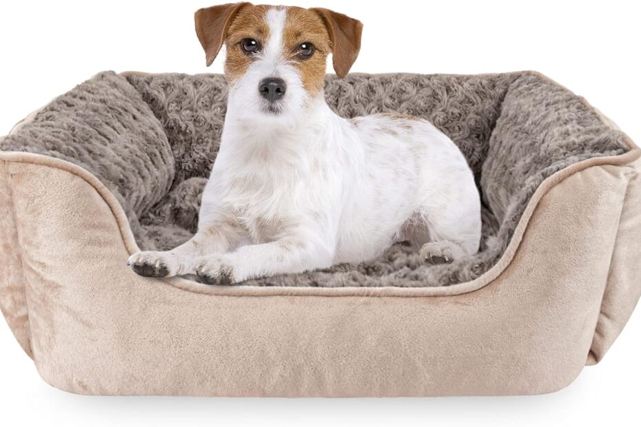 Ultimate Comfort: Review of the JOEJOY Rectangle Dog Bed for All Breeds