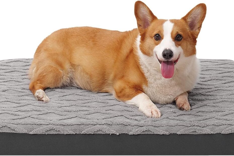 Ultimate Comfort: Review of the Orthopedic Dog Bed for Happy Pets!