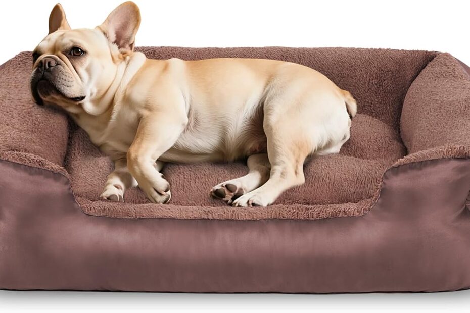 Ultimate Comfort: Review of the Orthopedic Dog Bed for Medium Dogs