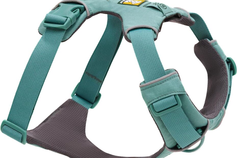 Ultimate Comfort: Review of the Ruffwear Front Range Dog Harness