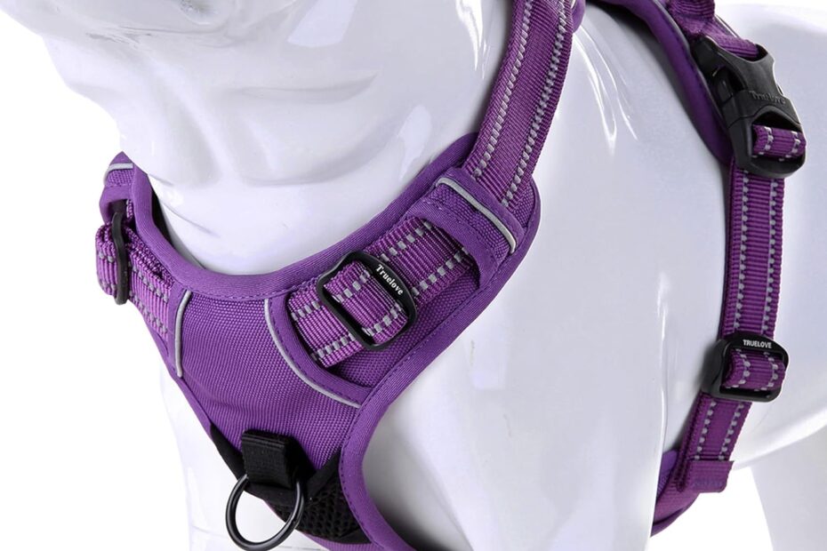 Ultimate Comfort: Review of the Truelove No Pull Dog Harness