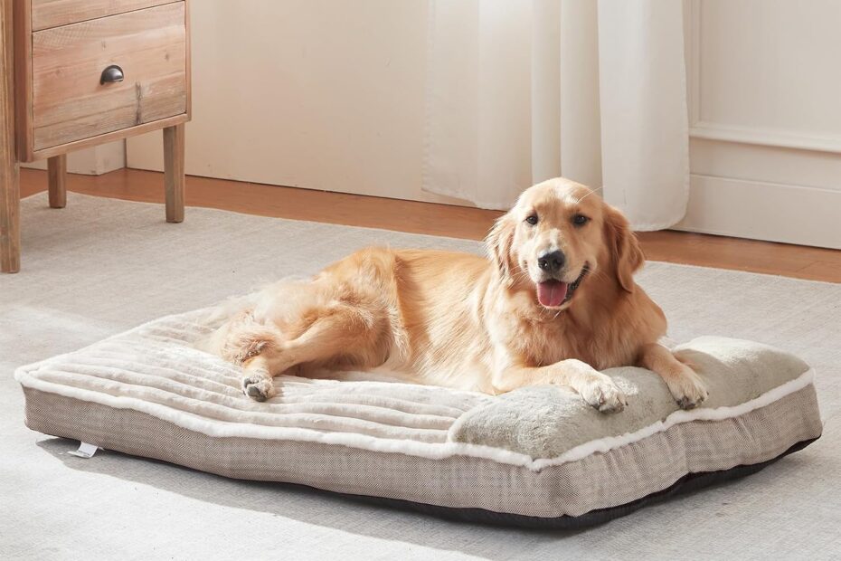 Ultimate Comfort: Review of the X-Large Dog Bed for Large Breeds