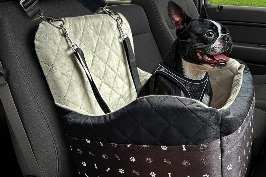 Ultimate Comfort & Safety: Review of the Dog Car Seat for Small to Medium Dogs