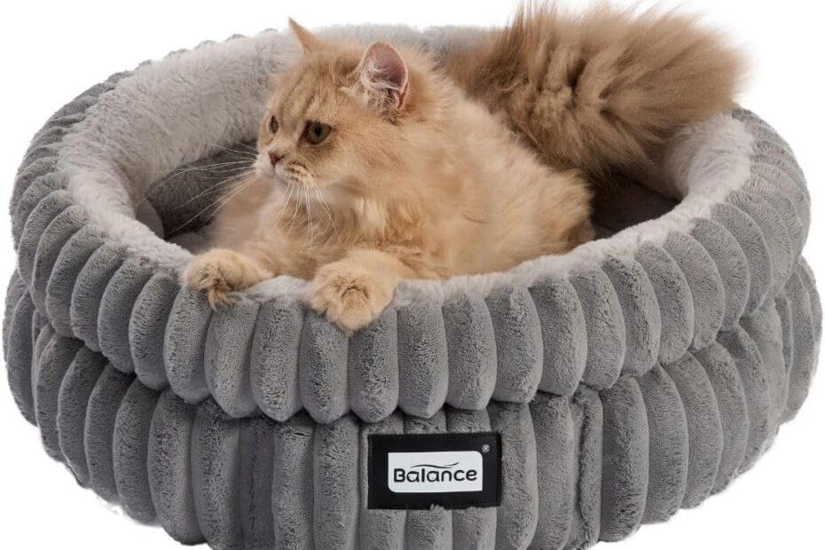 Ultimate Comfort: The BALANCE Washable Cat Bed Review
