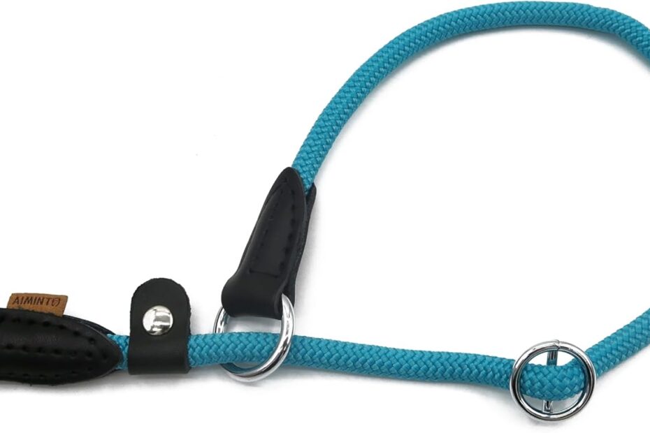 Ultimate Comfort: The Light Blue Braided Martingale Collar for Medium Dogs