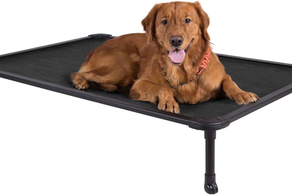 Ultimate Comfort: Veehoo Chew Proof Elevated Dog Bed Review