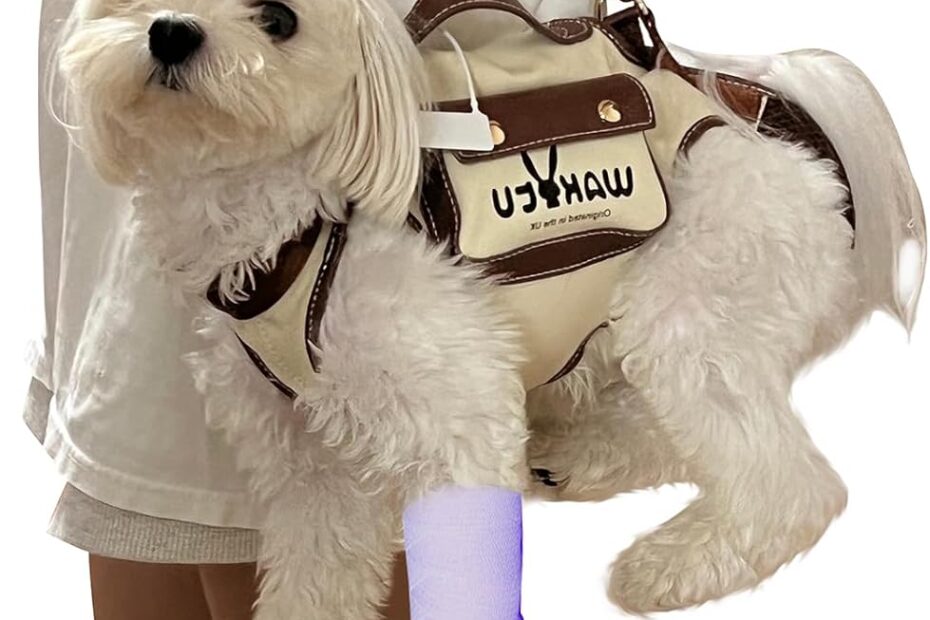 Ultimate Comfort: VES Dog Lift Harness Review & Recommendations