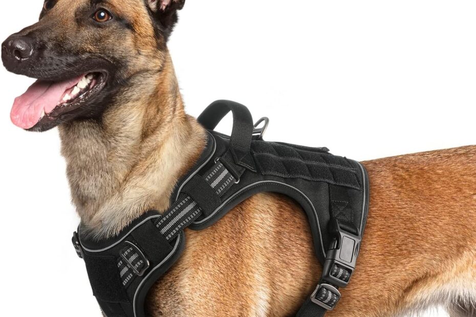 Ultimate Control: The rabbitgoo Tactical Dog Harness Review for Large Breeds