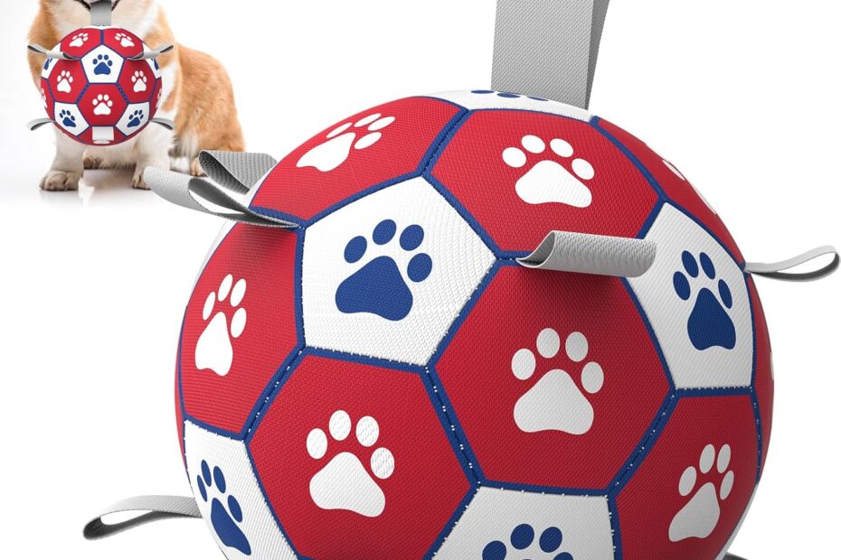 Ultimate Fun: Review of the Diman Dog Soccer Ball for Interactive Play!