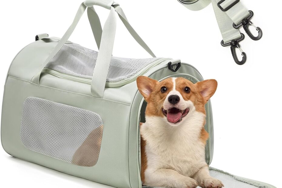 Ultimate Guide to the Extra-Large Soft-Sided Cat Carrier: Travel Comfort for Pets Up to 30 Lbs!