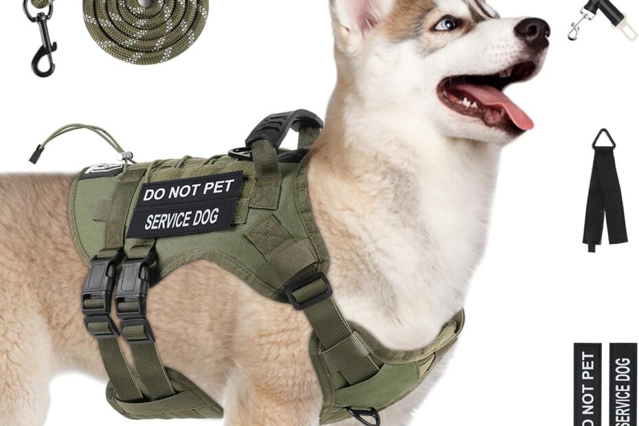Ultimate Guide to the No Pull Tactical Dog Harness: Comfort and Control for Large Dogs!
