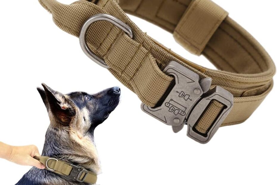 Ultimate Guide to the Xqpetlihai Tactical Dog Collar: Why Your Pup Needs It!