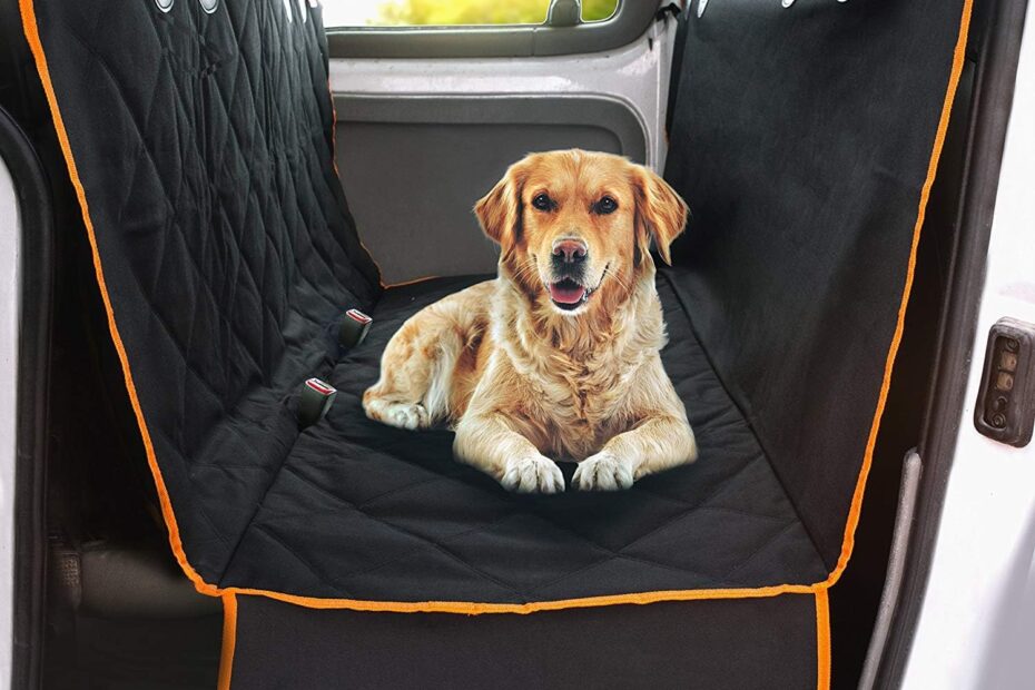 Ultimate Protection: Doggie World Car Seat Cover Review for Pet Owners!