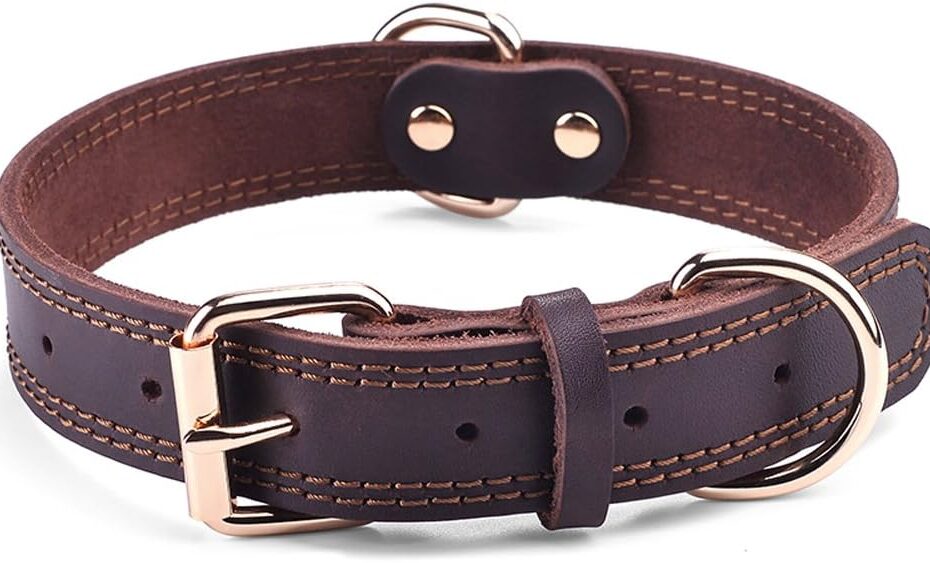 Ultimate Review: Genuine Leather Heavy Duty Dog Collar for All Sizes