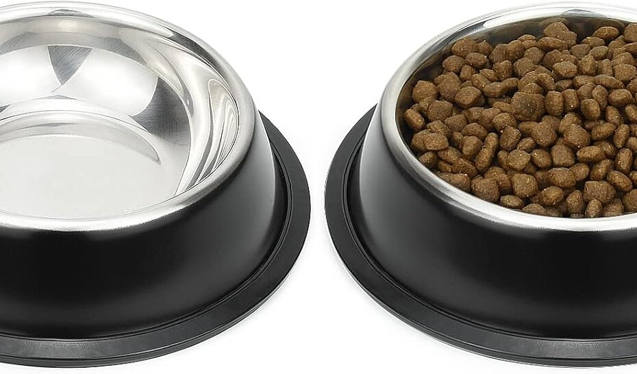 Ultimate Review: Non-Slip Stainless Steel Dog Bowls for Every Pup!