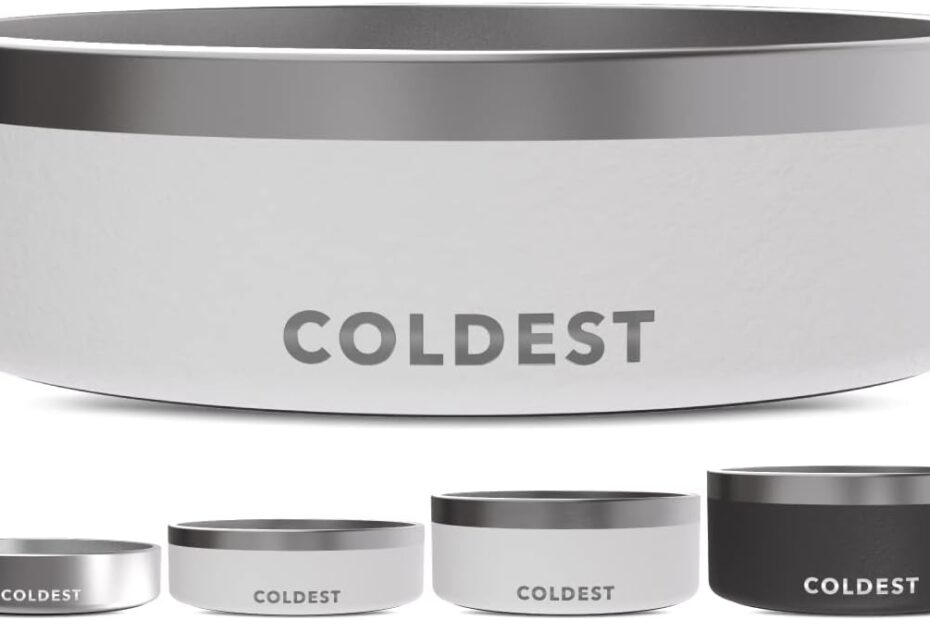 Ultimate Review of the Coldest Dog Bowl: Your Pet's Perfect Drinking Solution!