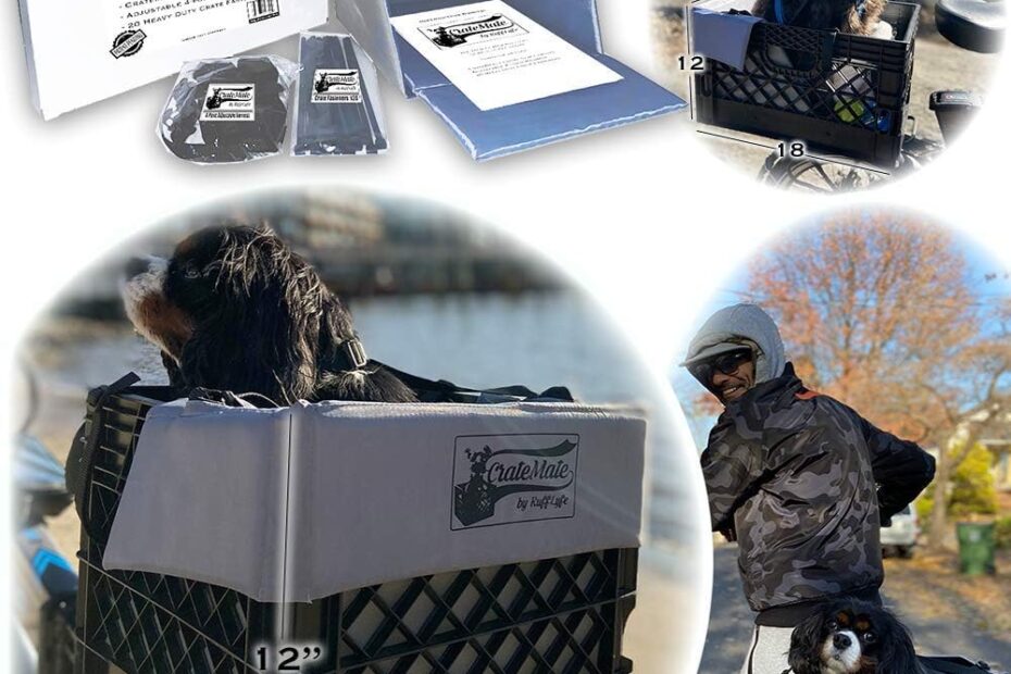 Ultimate Review of the DIY Conversion Bike Dog Carrier: Safe & Versatile Pet Travel!