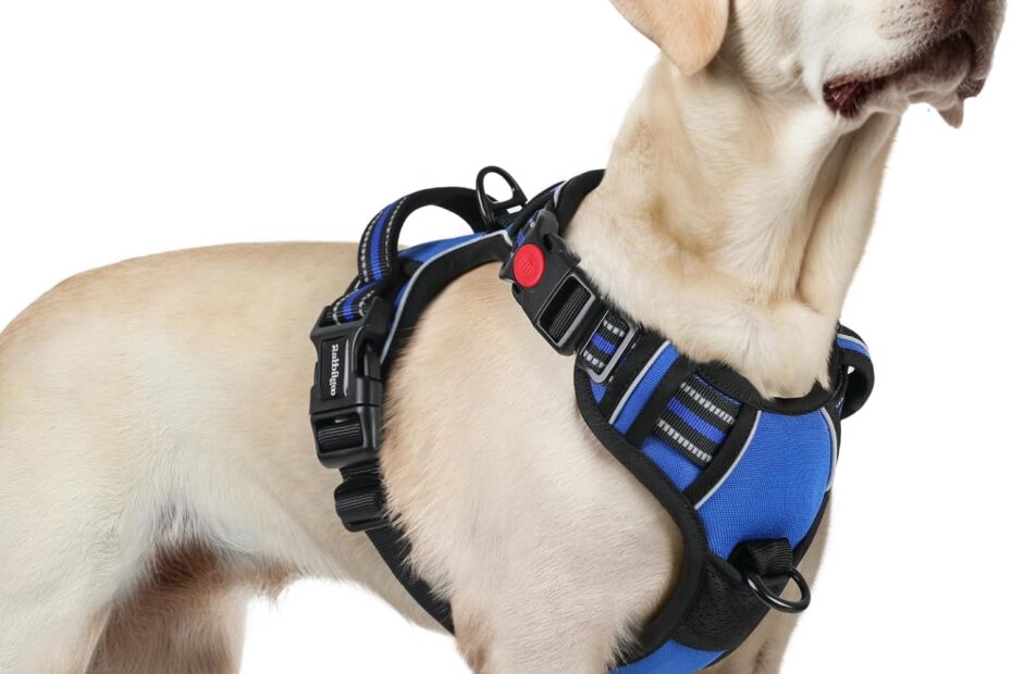 Ultimate Review of the rabbitgoo No-Pull Dog Harness: Comfort Meets Control for Large Dogs