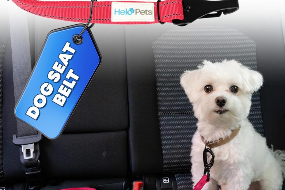 Ultimate Safety for Your Pup: Review of the 3-in-1 Adjustable Dog Car Seat Belt