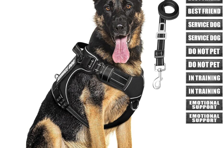 Ultimate Tactical Dog Harness & Leash Set: Perfect for Training and Adventures!