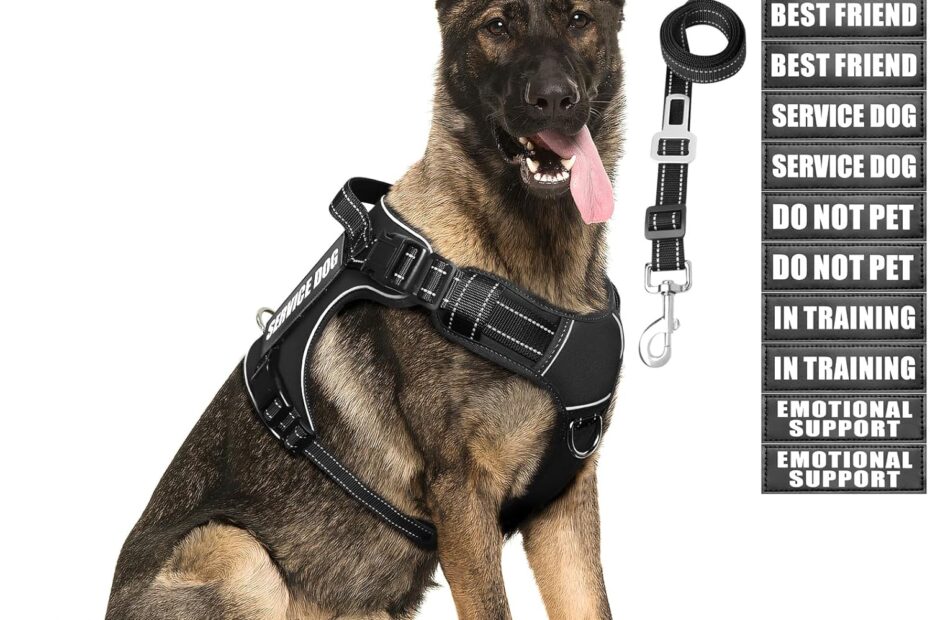 Ultimate Tactical Dog Harness & Leash Set: Review for Large Dog Owners!